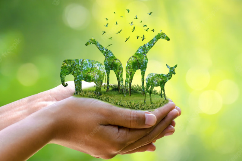 Мир животных. Animal world nature. Всемирный день дикой природы. День биологического разнообразия картинки. Animal world nature.
