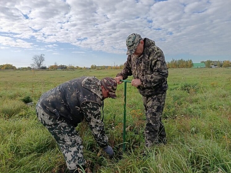 В Омской области высадили более 10 тысяч деревьев