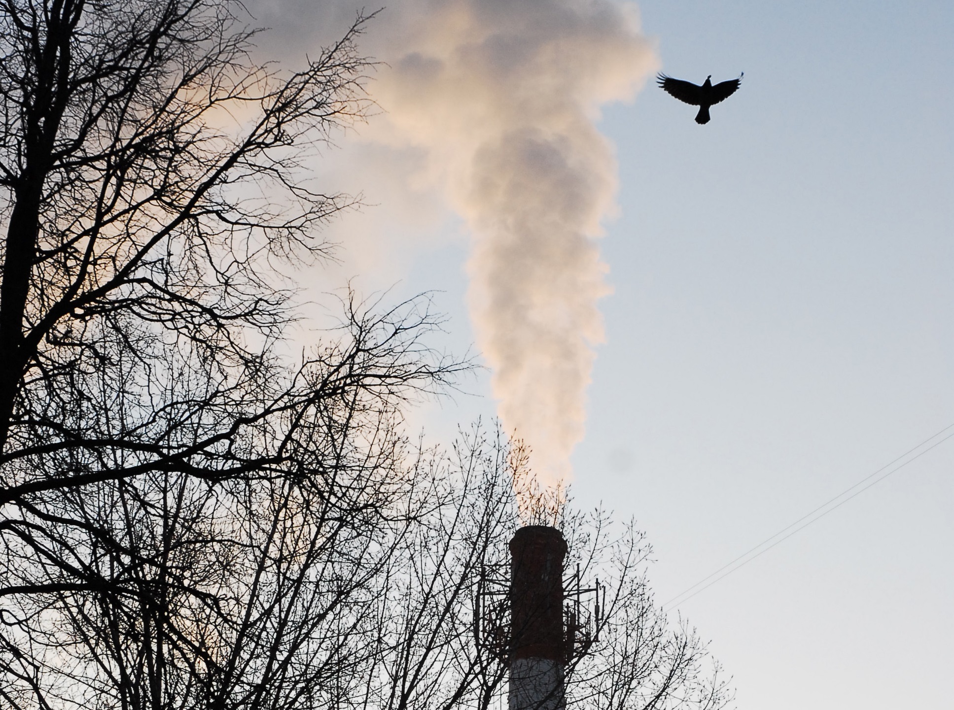 Неприятный запах на улице. В воздухе пахнет серой. В воздухе пахнет серой. Неприятный мужчина. В воздухе пахнет серой.