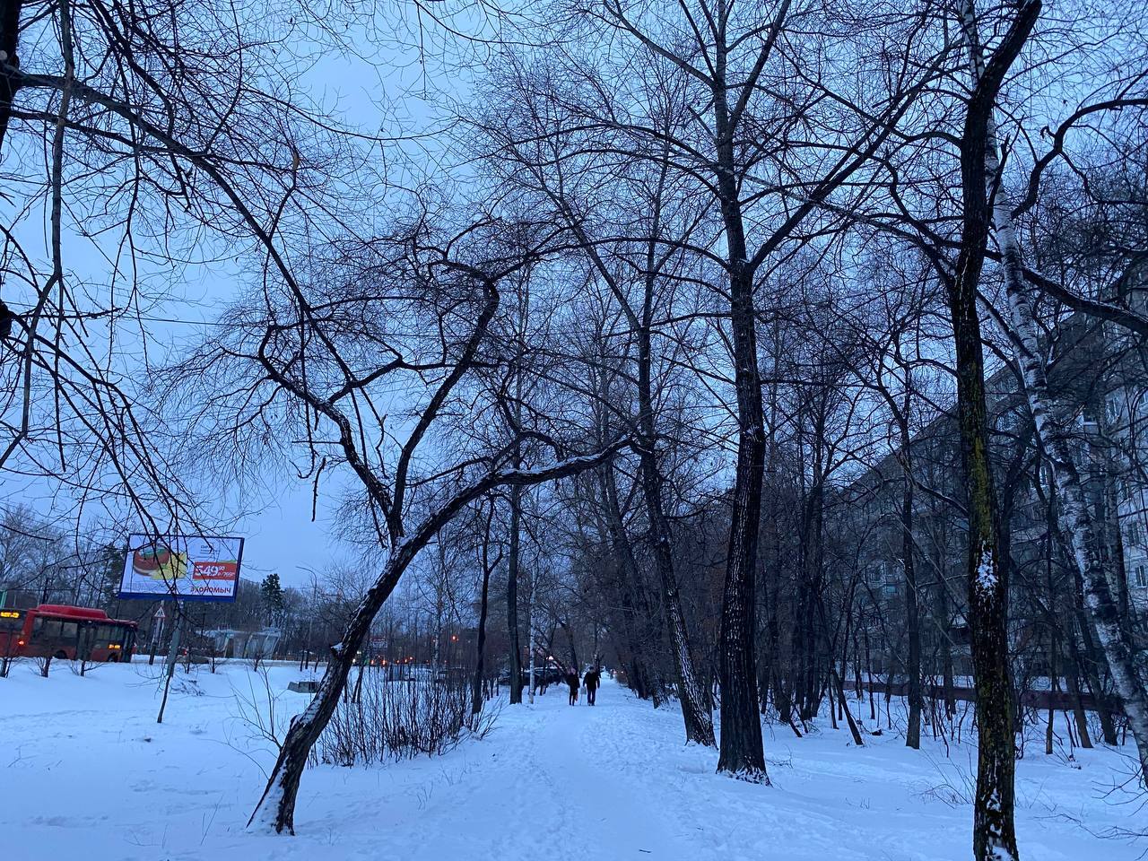 Погода в хабаровске 16 июня. Хабаровский край зима. Хабаровский край ночной.