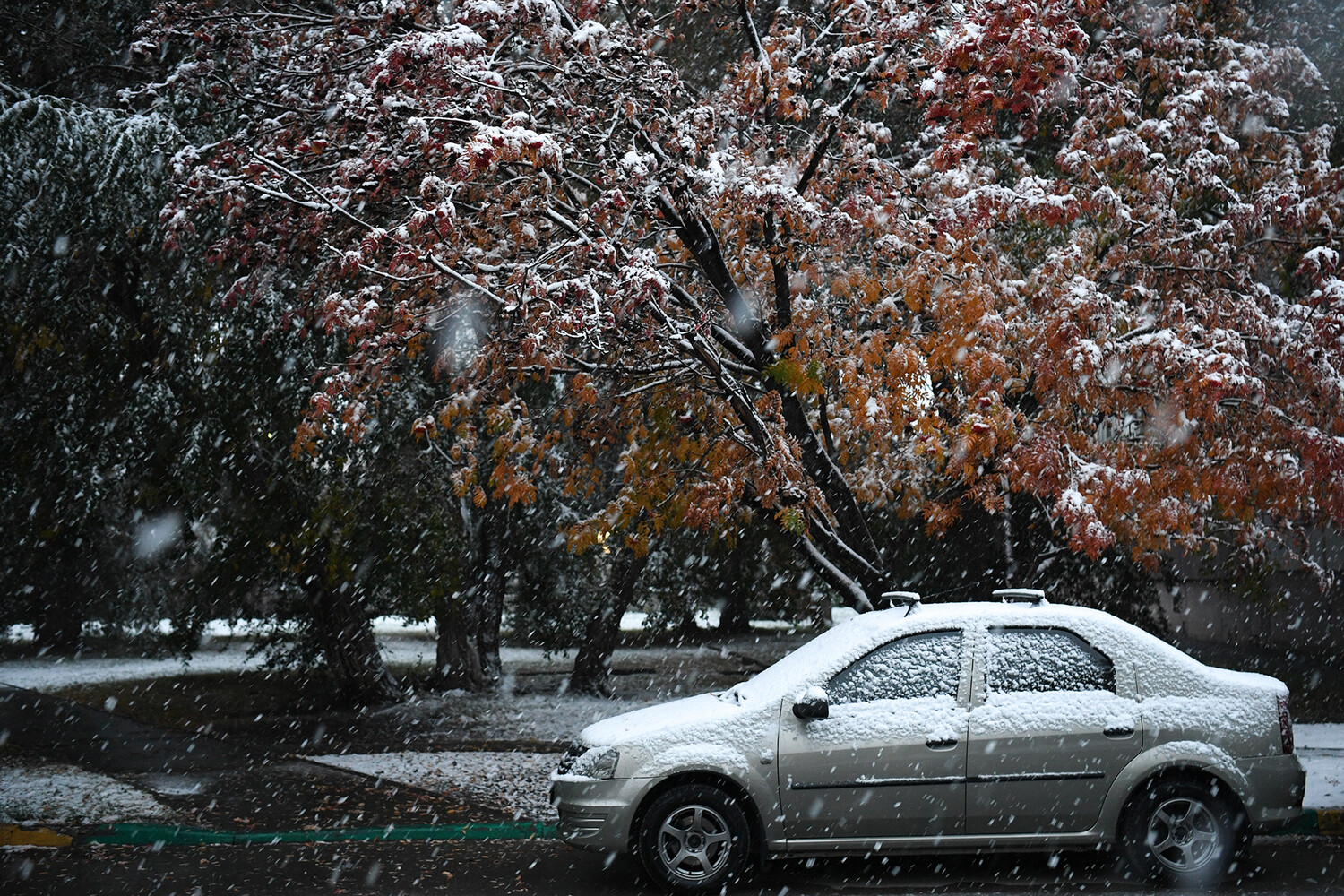 Ноябре выпадет снег. Первый снег в Москве. Ноябрь первый снег. Осень снег город. Снег фото.