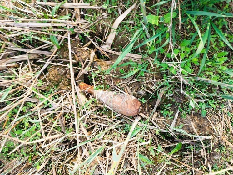 В селе Канглы на Ставрополье нашли миномётный снаряд времён ВОВ