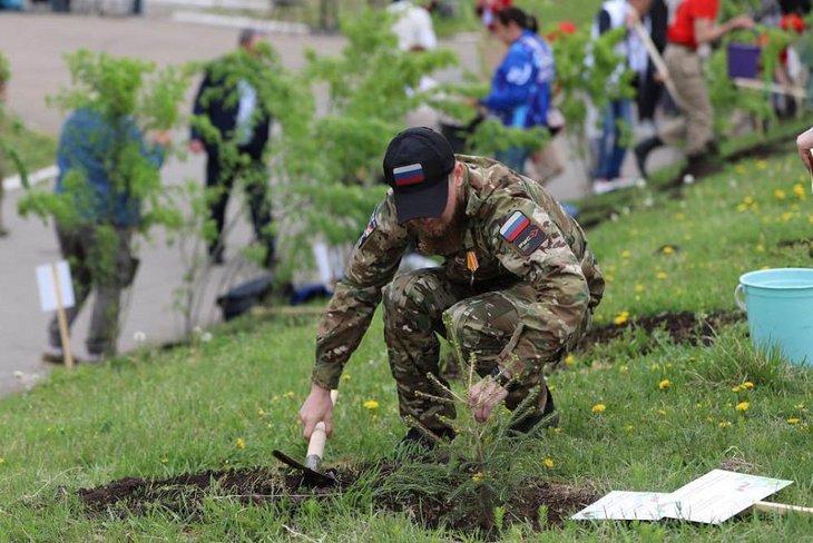 Высадка деревьев. Фото пресс-службы администрации Иркутска
