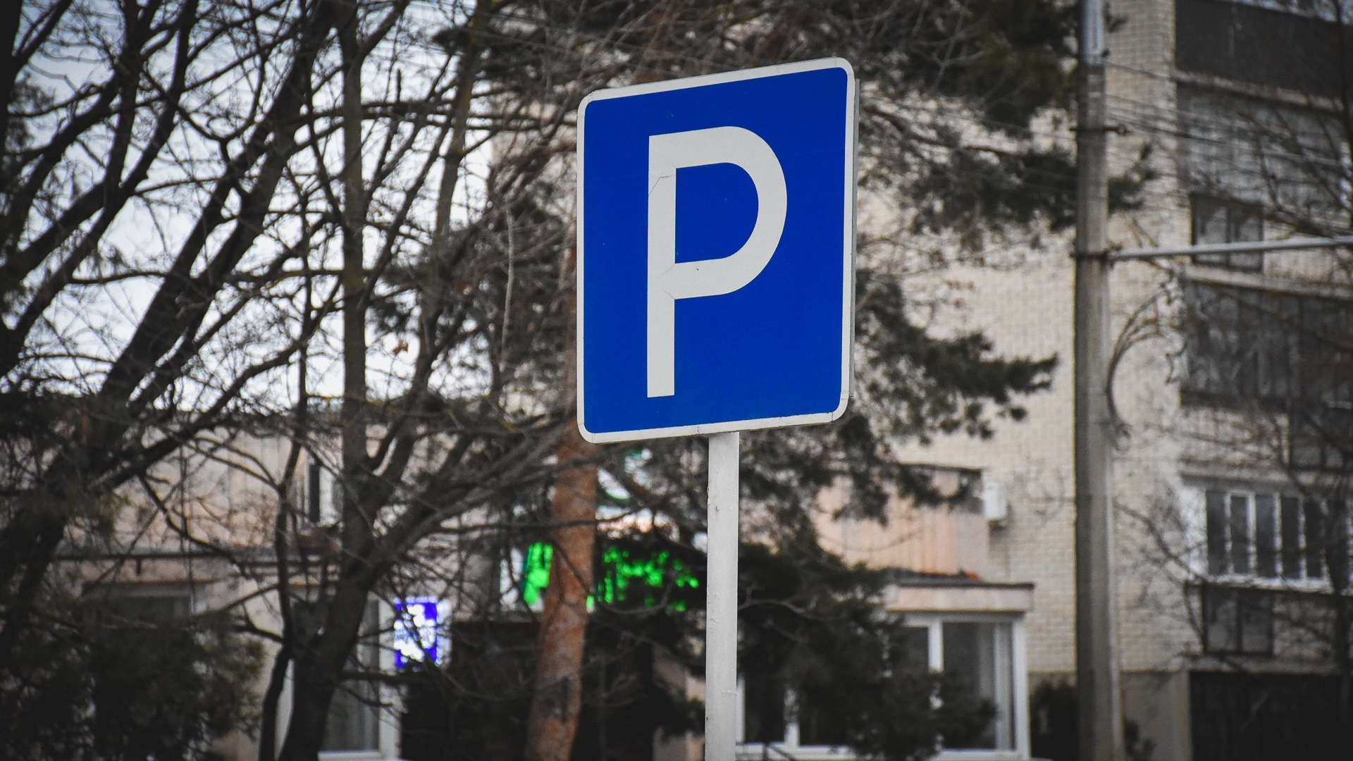 Конкурс платный рисунков