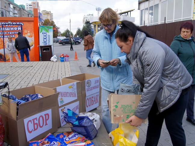 как помочь белгородцам