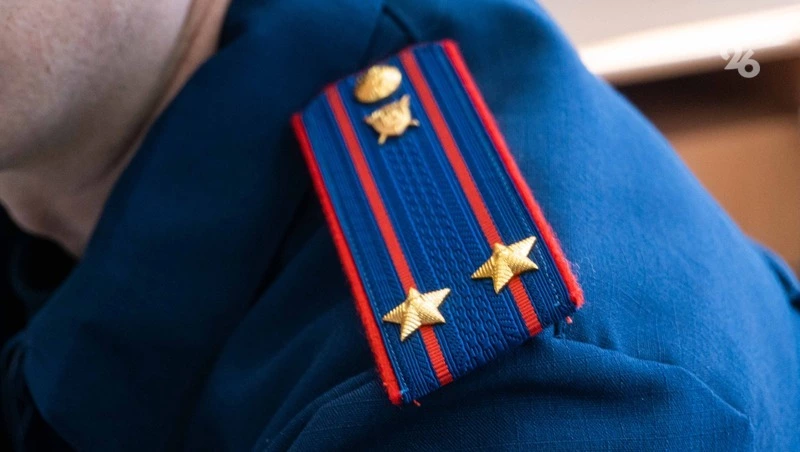 Бастрыкин поручил разобраться в деле о нападении собаки на юного ставропольца 