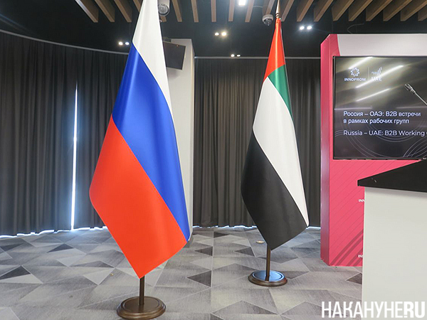 Фото: Накануне.RU