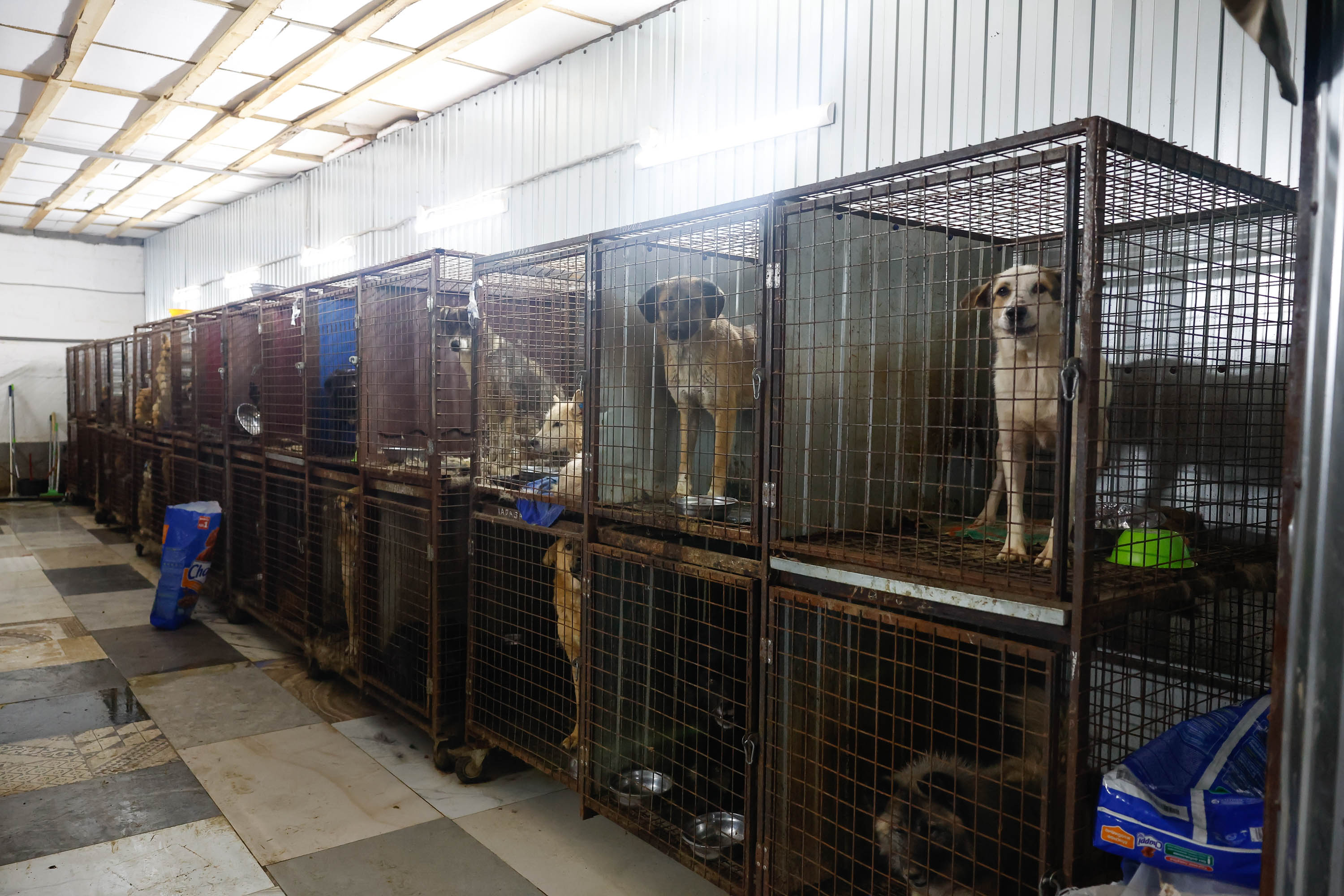 Героиня нашего времени