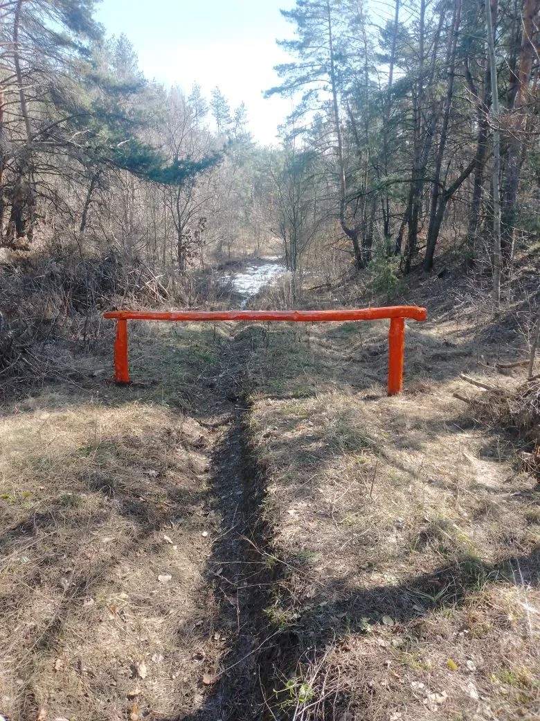 В Курской области приступили к противопожарному обустройству лесов