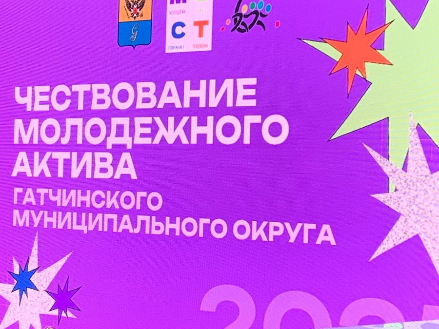 Молодёжный актив Гатчинского округа наградили 