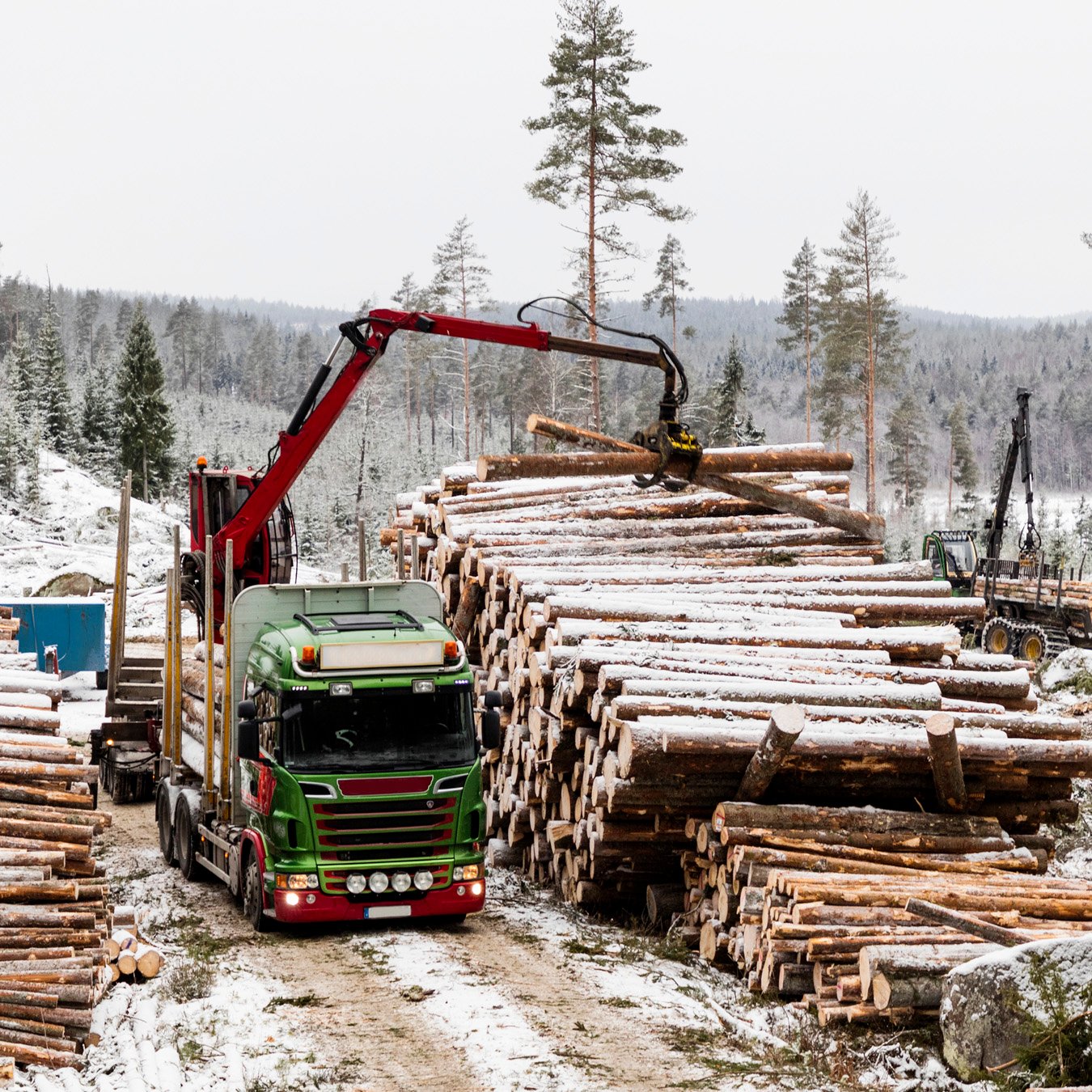 Mellanskog вновь повысила цены на древесину