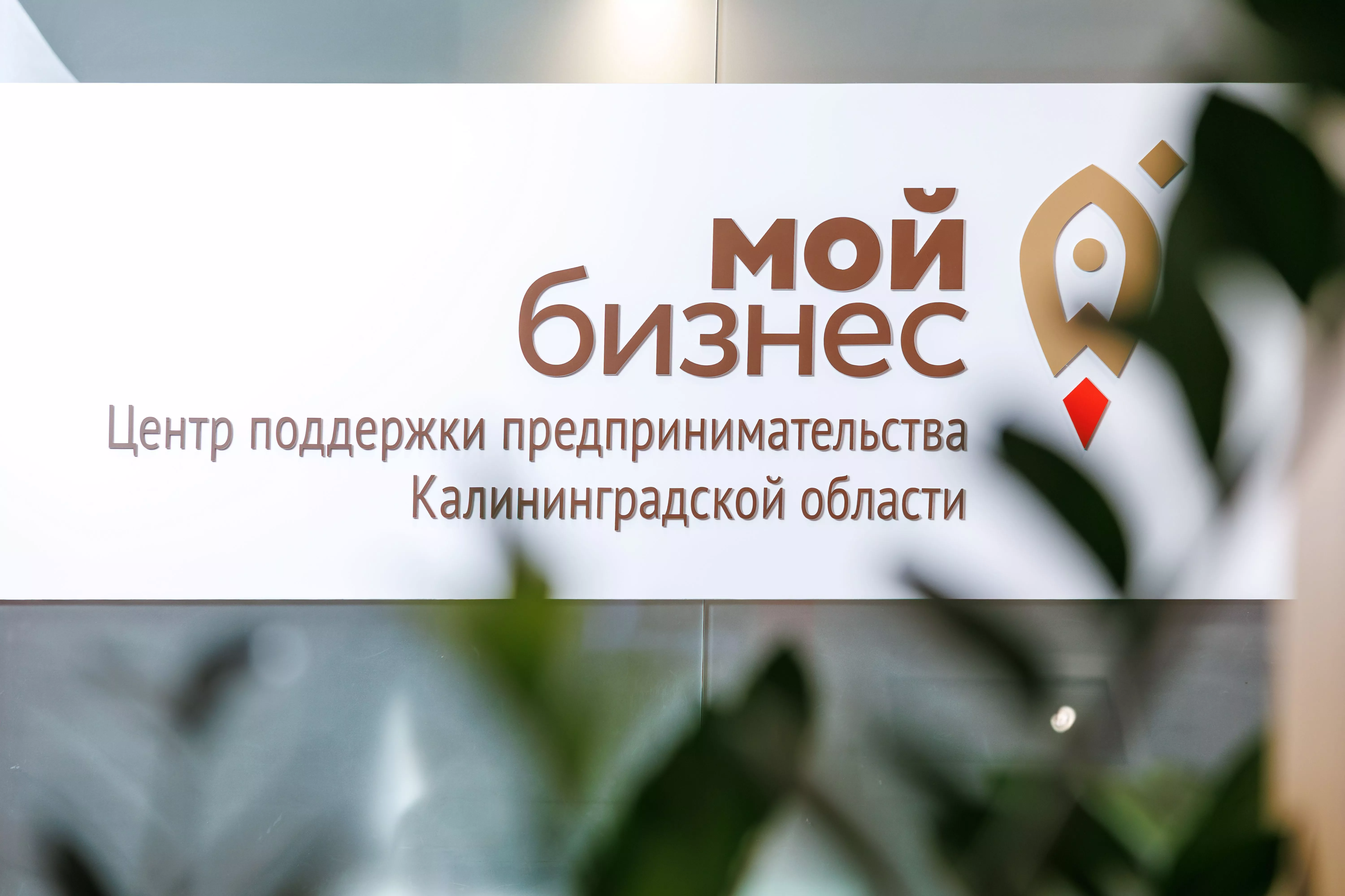 Бизнес с идентичностью: более 30 региональных брендов вошли в реестр Калининградской области
