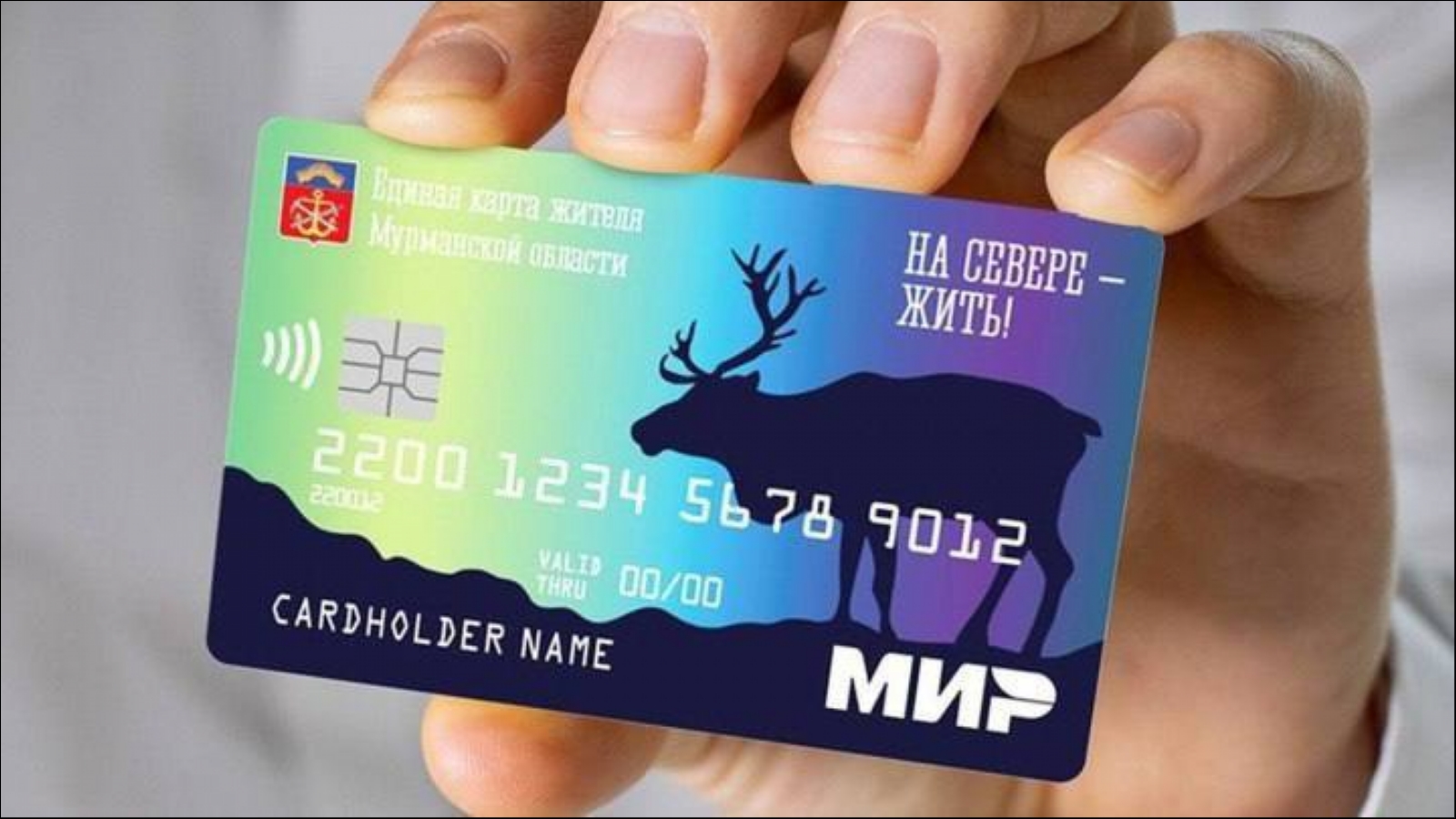 Единая карта жителя ямала. Морошка ямал единая карта. Карта жителя ямала. Карта единый. Екж.