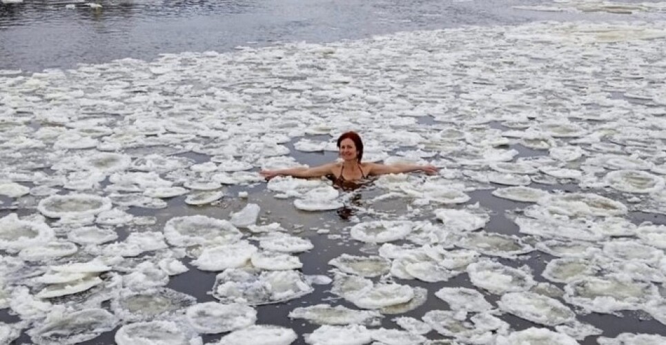 Новгородские моржи завоевали 25 медалей Кубка Большой Невы по зимнему плаванию