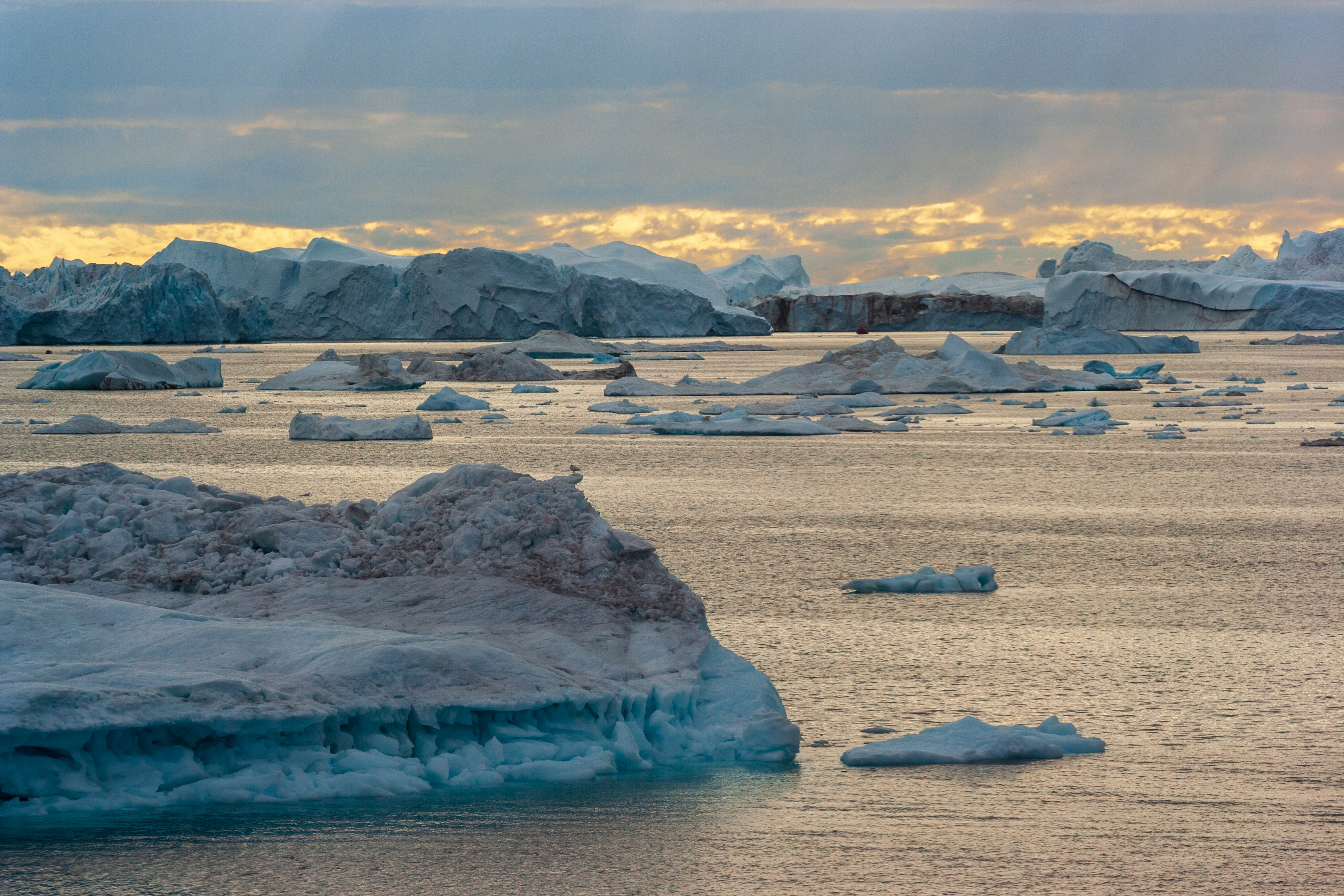 Рассылка «ПОРА в Арктику! GoArctic!» – выпуск от 22 декабря 2024 года