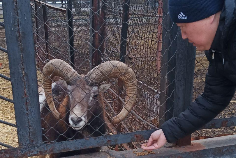 Владимирская область отправила гумпомощь в зоопарк Докучаевска