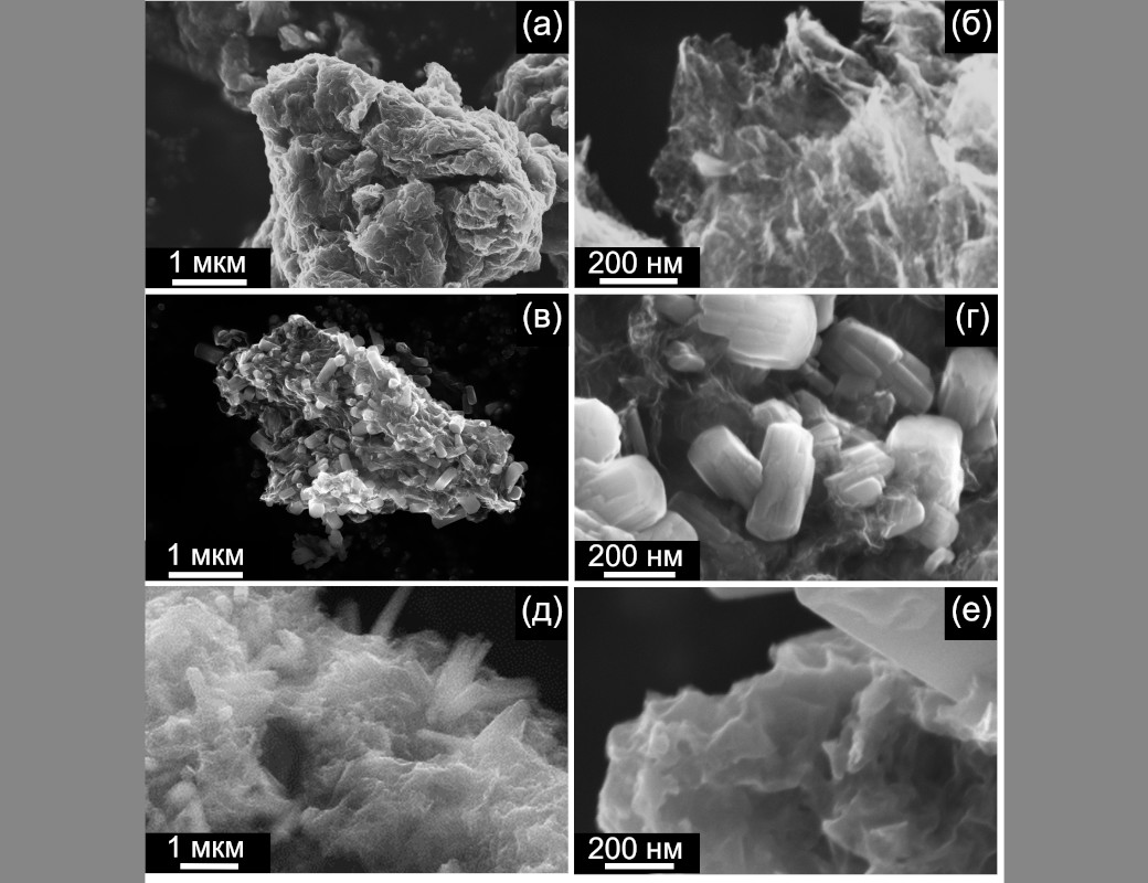 International journal of molecular sciences