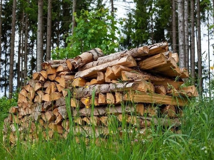  В Бурятии в пожароопасный период разрешается заготовка древесины