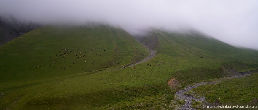 Грузия, часть 1. Беги в Казбеги, или Stepansminda's Step