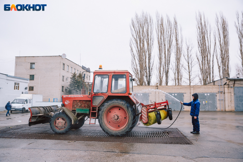 Пятеро кубинцев-трудяг всех обманули и начали работать в Воронежской области