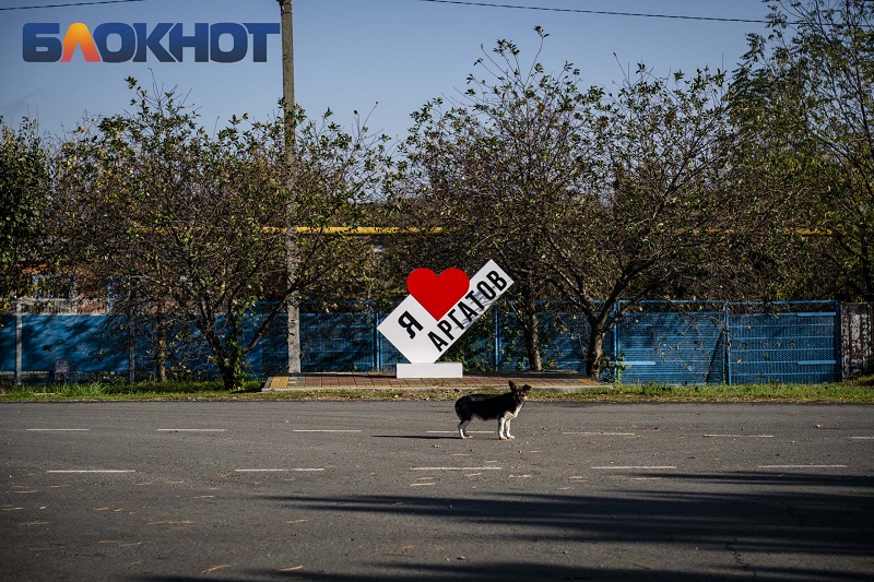 аргатов 