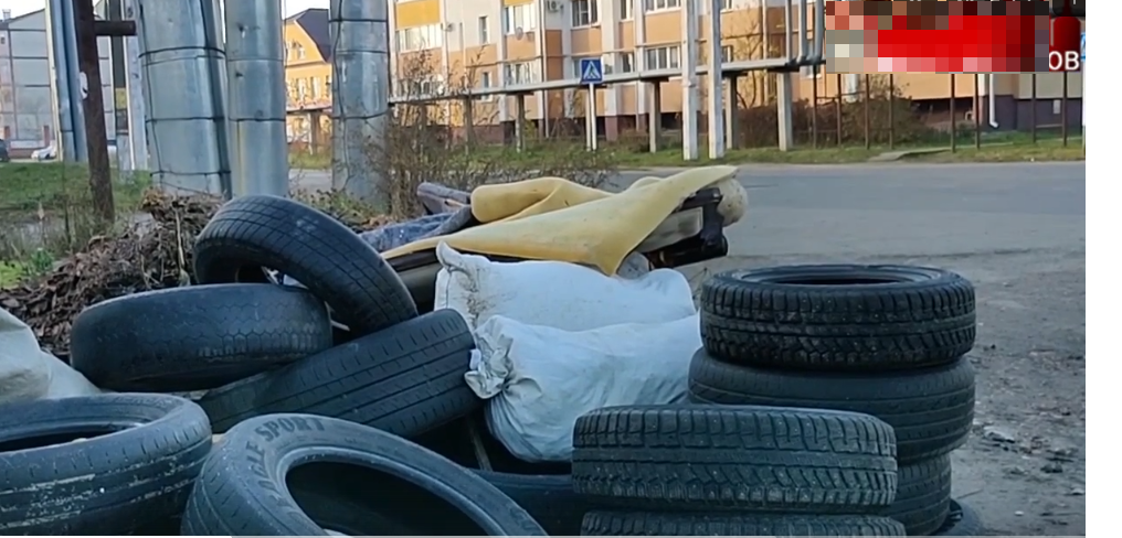 Только пять городов Брянской области вошли в акцию по бесплатному сбору старых шин от населения