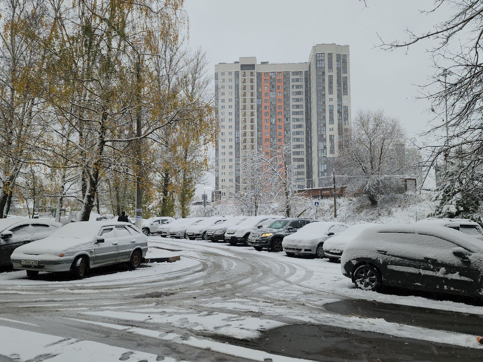 Фото: Артем Мишуков