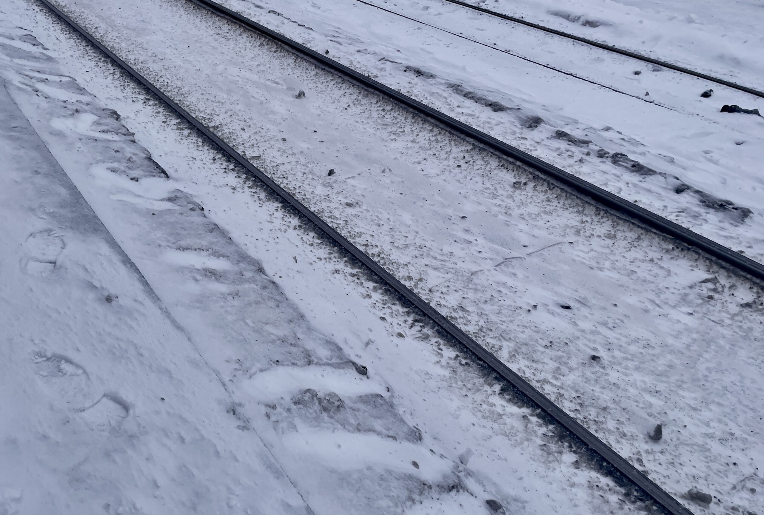 Фото: В курсе.ру