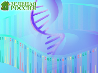 Алгоритмы глубокого обучения повышают точность выявления мутаций в онкологии и РНК-секвенировании