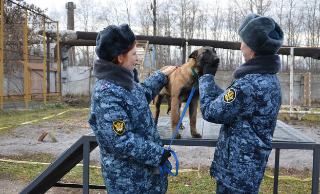 В управление ФСИН по региону передали четырёх щенков