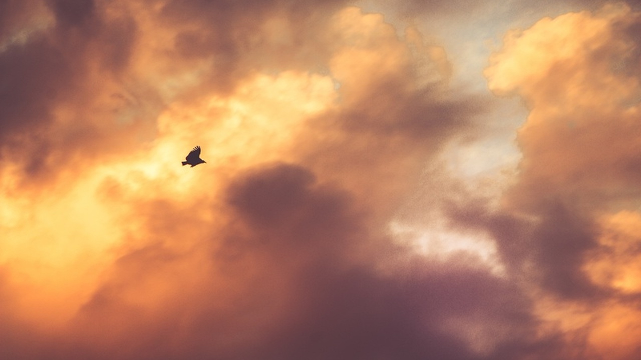 Жителей Крыма в ближайшую пятницу ожидает серье...