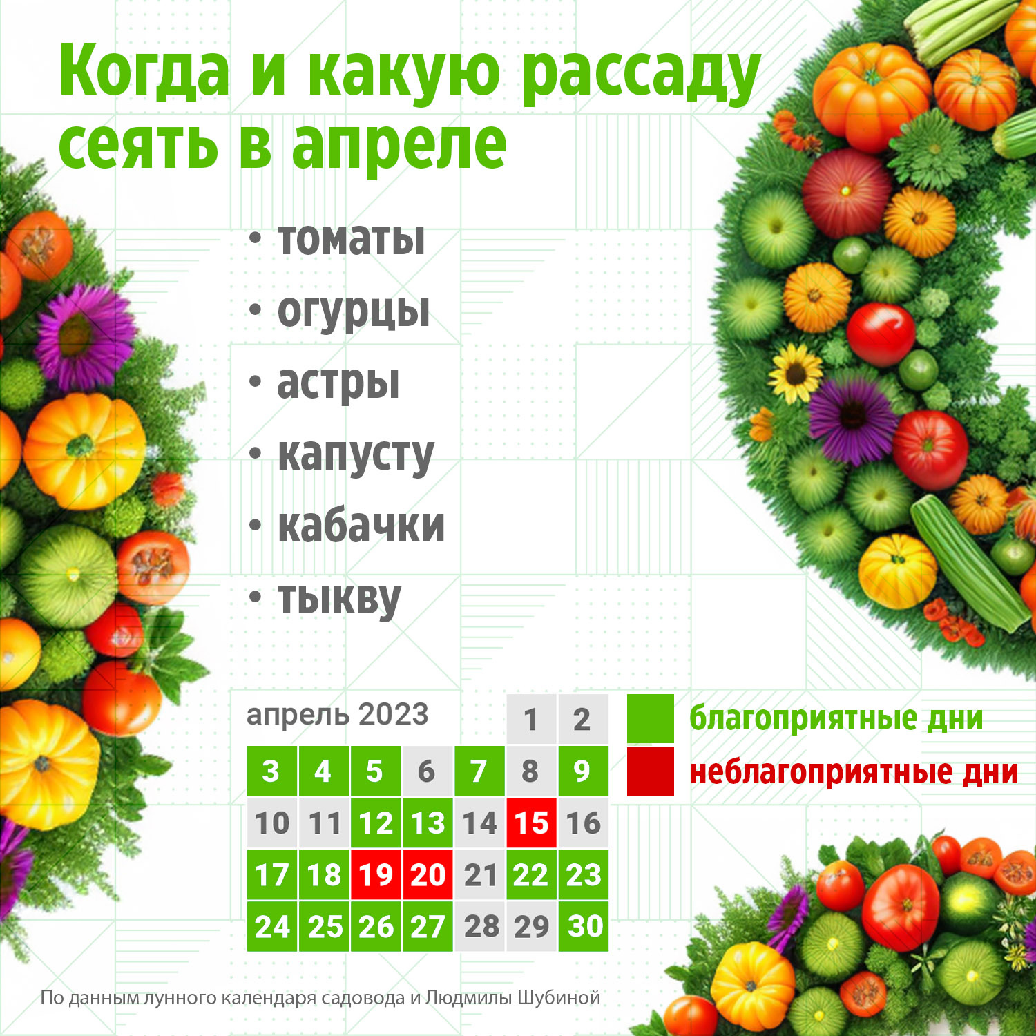 Когда садить помидоры на рассаду в беларуси