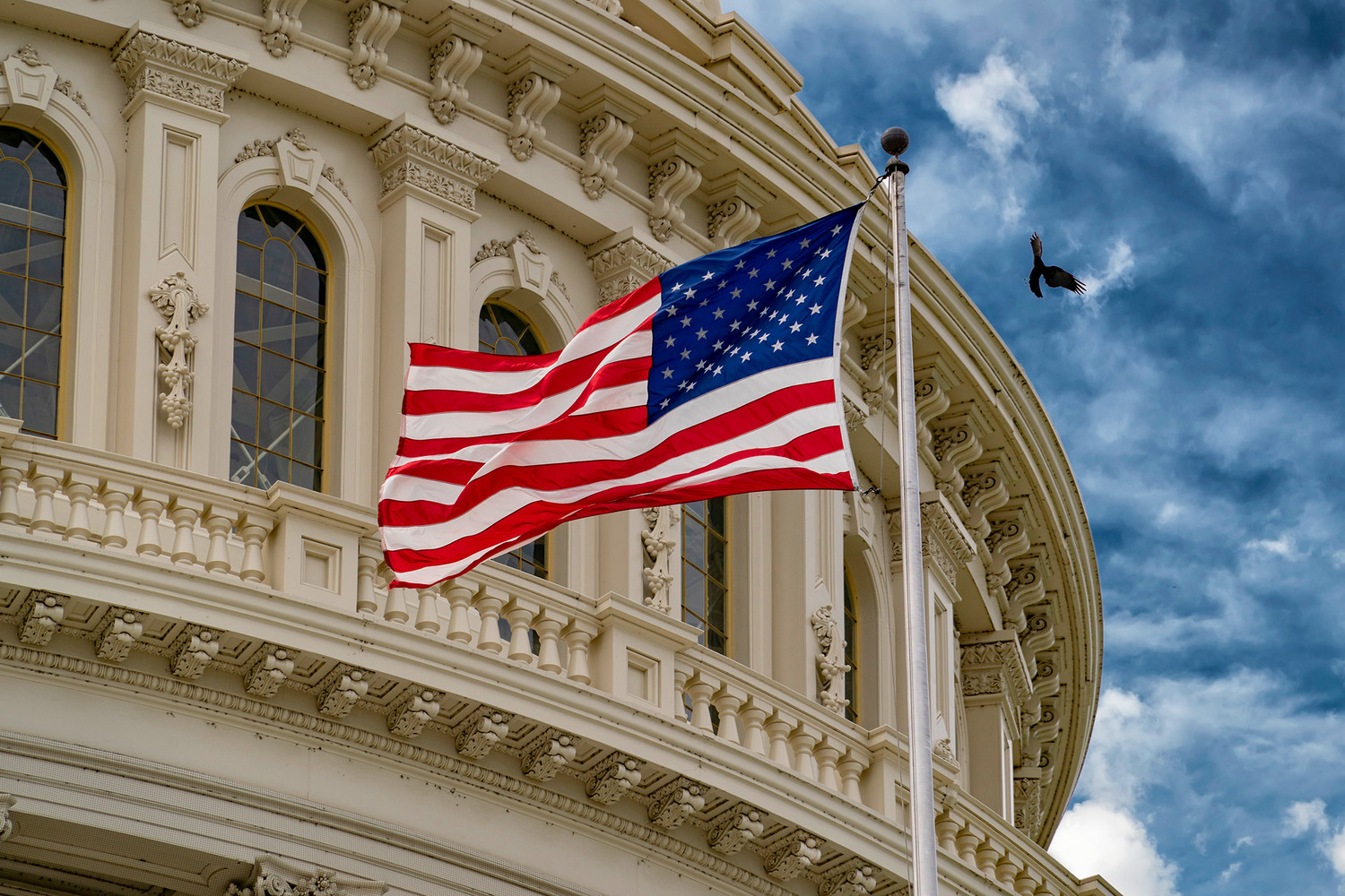 Конгрессмен сша все