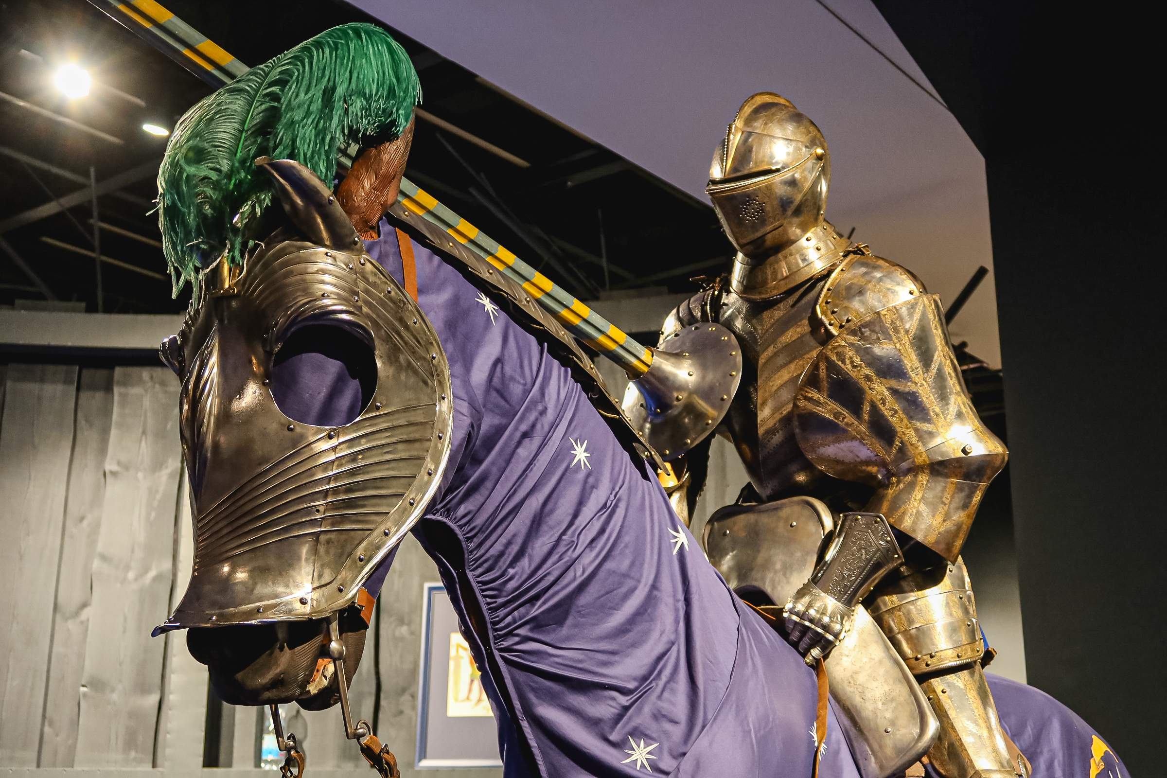 ЦВЗ «Манеж» открыл двери в мир династии Бенуа43