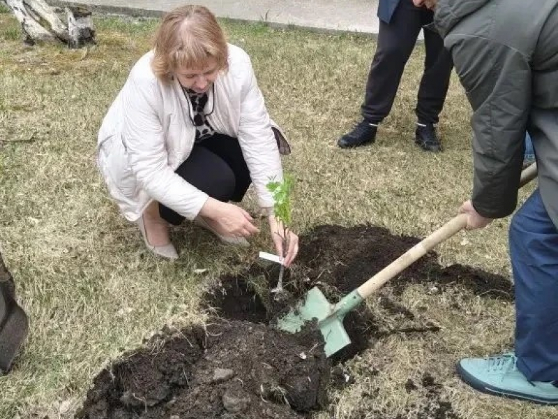 JPG Файл