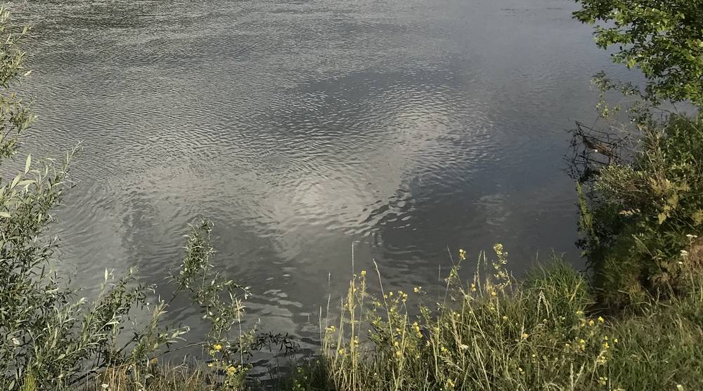 В Карачеве после случая с соскользнувшим в воду ребенком огородили берег