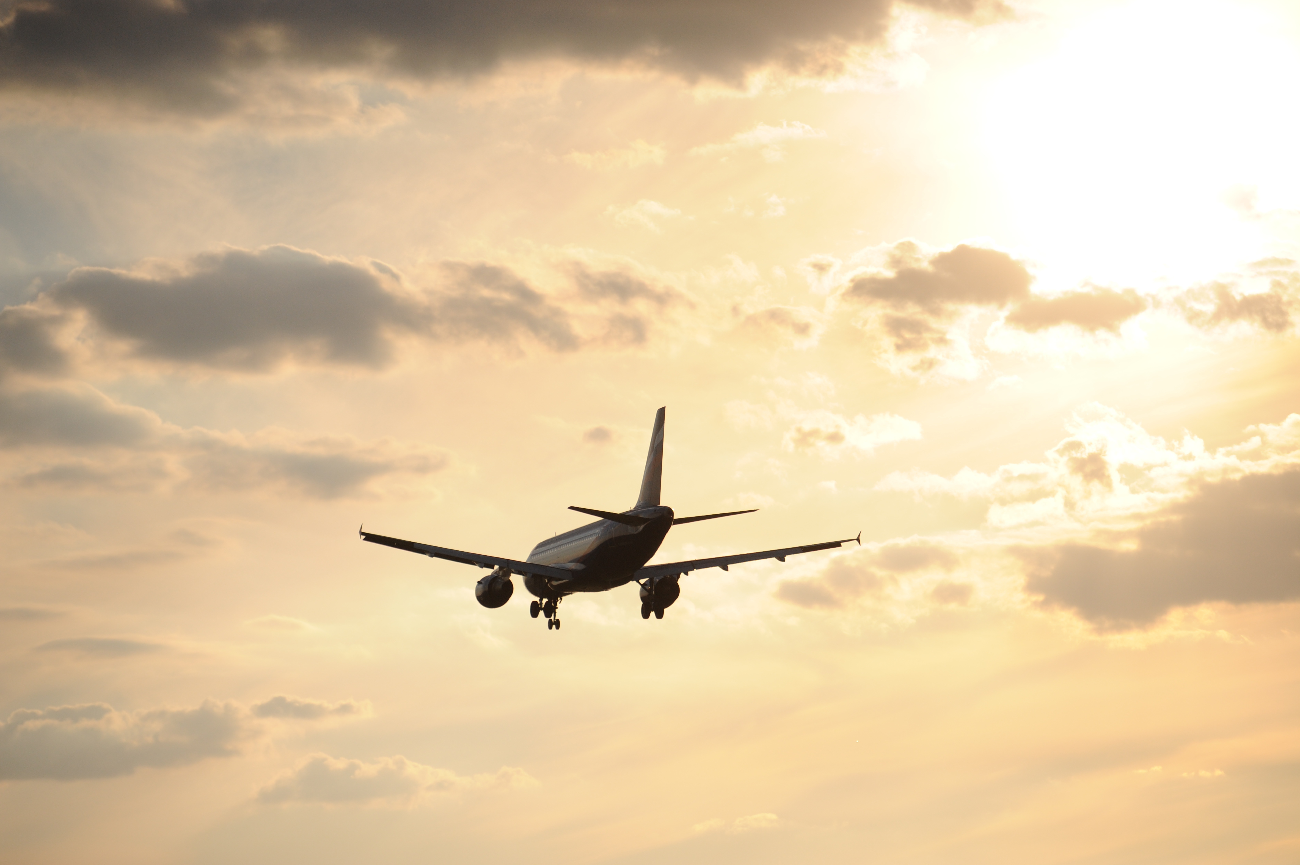 Авиасообщение возобновилось. Авиасообщение возобновилось. Самолет садится. Авиасообщение возобновилось. Авиасообщение возобновилось.