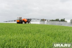 За 10 лет российский агропром вырос свыше чем на 50%