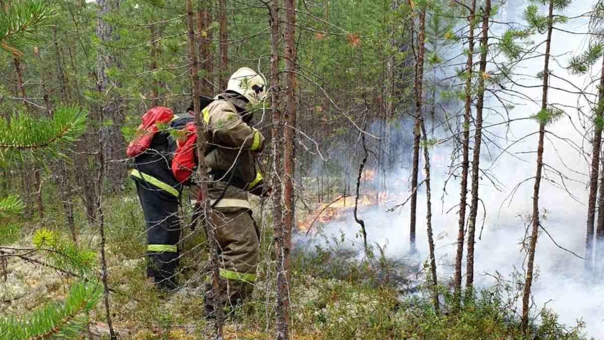 Противопожарный режим хмао