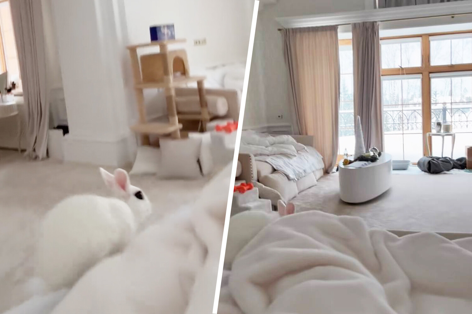 другая сторона адаптация родион кораблев. кораблев к доске книга. закрытый город василий кораблев. родион кораблев другая сторона 3. кораблев другая сторона 6 дипломат.