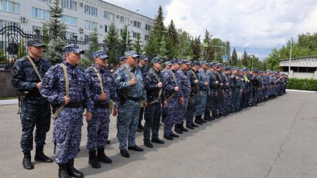Полицейские вернулись в Пензу с Северного Кавказа