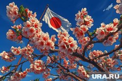 Япония примет решение самостоятельно, без учета мнения других стран