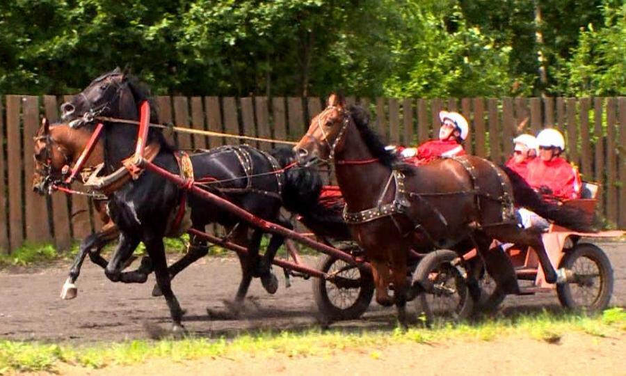 Тройка в подмосковье. Тройка лошадей зима. Лошади в России. Пельмени тройка лошадей.