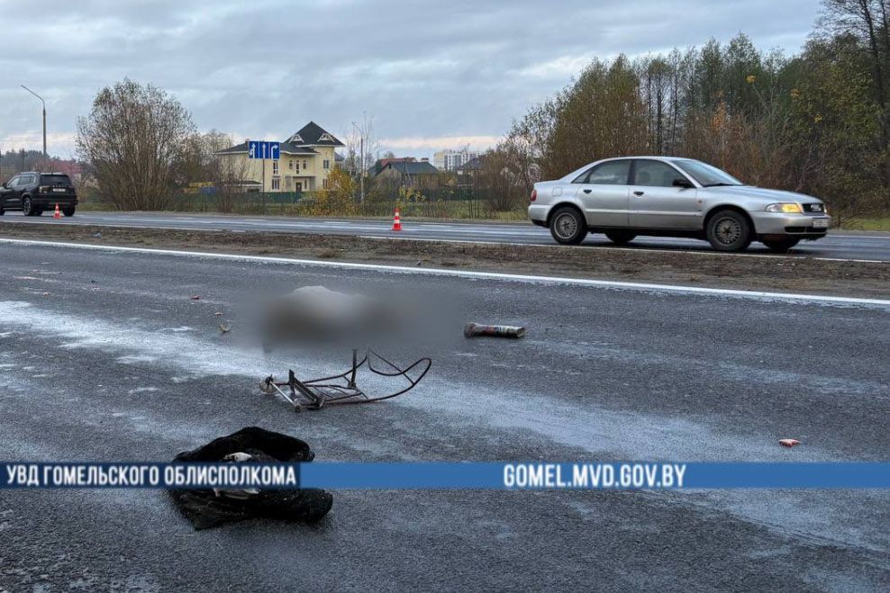 Сначала Renault, потом Honda. Под Гомелем в ДТП погибла пенсионерка