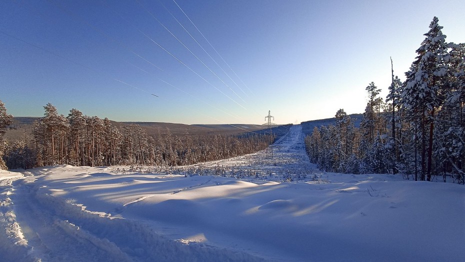 Якутия – лидер по лесным доходам в Дальневосточном федеральном округе