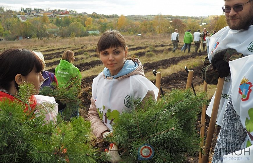 Образцово орловская область. Посади дерево баночка. Деревня Орел. Посадка сосен в Орле Клычков. Школа дер Образцово Орел.