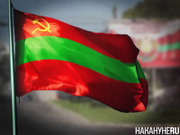 Фото: Накануне.RU