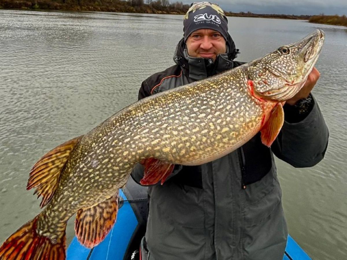 ТОП самых ярких событий ЦФО: стометровый триколор, стимпанк-скамья, чудо-щука и музыкально-помоечный артхаус