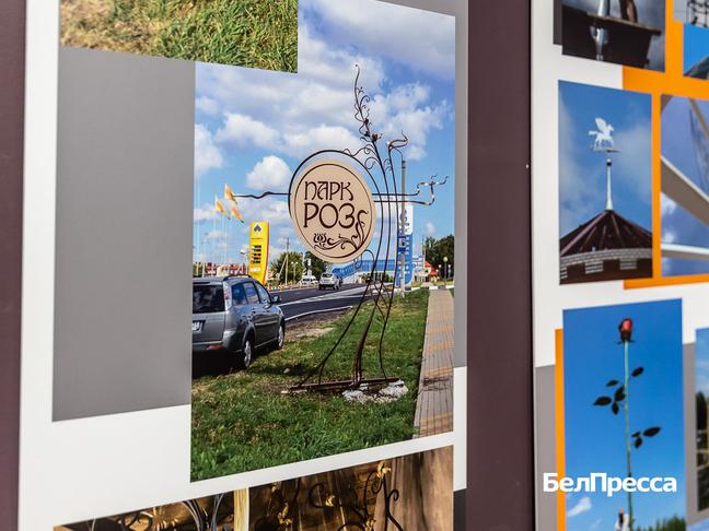 Мастер и город. В Белгородском художественном музее открылась выставка Максима Баранова - Изображение 