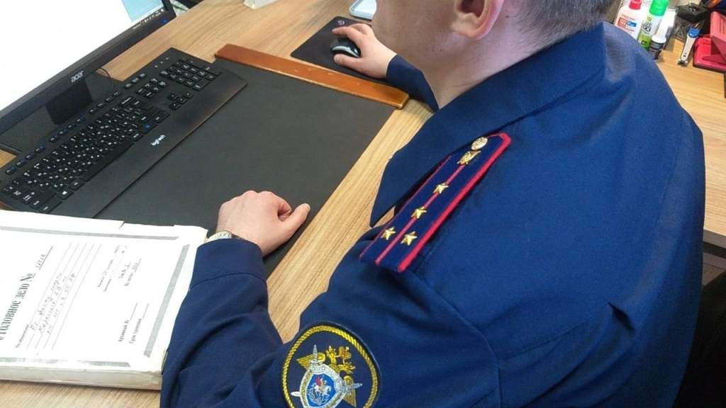 Жителя Железногорска подозревают в смертельном избиении матери